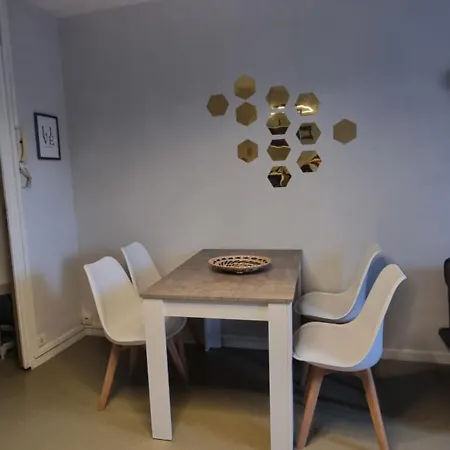 T1 Renove 29 M2 Cosy Confort ! Anzin