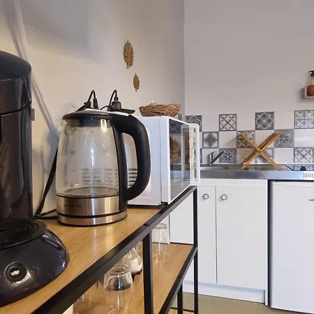 T1 Renove 29 M2 Cosy Confort ! Appartement