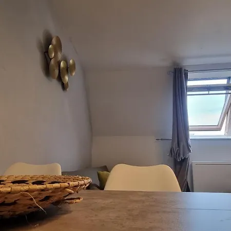 T1 Renove 29 M2 Cosy Confort ! Anzin