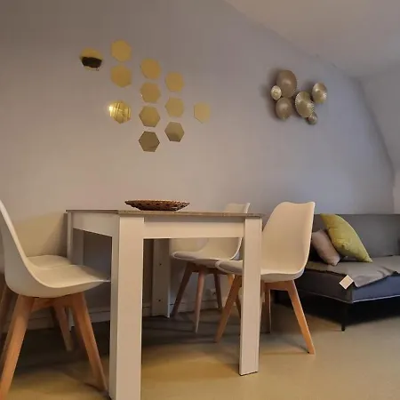 T1 Renove 29 M2 Cosy Confort ! Appartement