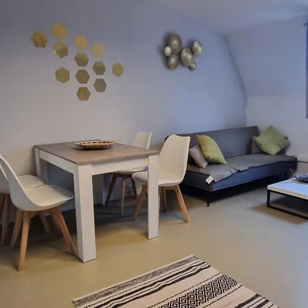 T1 Renove 29 M2 Cosy Confort ! *