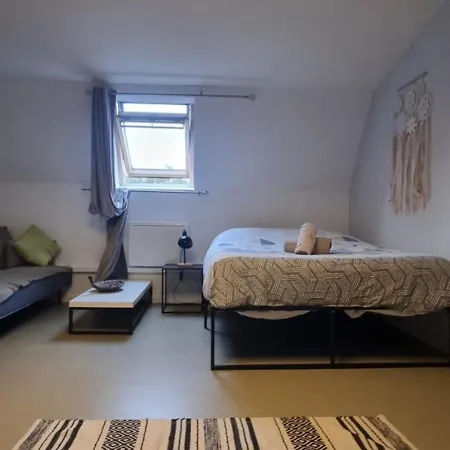 Appartement T1 Renove 29 M2 Cosy Confort ! *