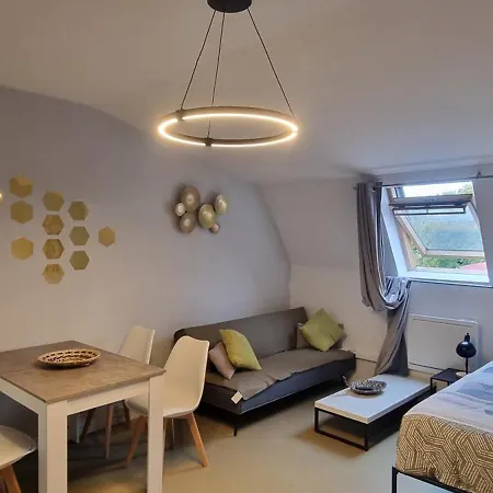 T1 Renove 29 M2 Cosy Confort ! Appartement