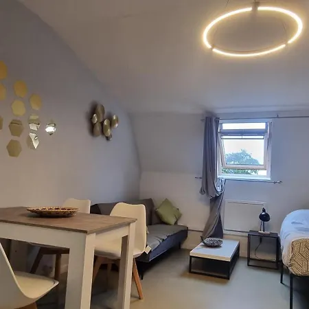 T1 Renove 29 M2 Cosy Confort ! *