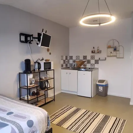 Appartement T1 Renove 29 M2 Cosy Confort ! Anzin