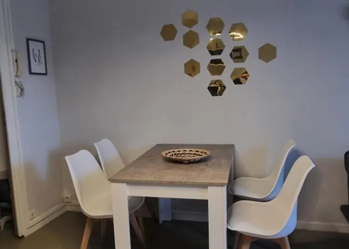 T1 rénové 29 m2 cosy confort ! Anzin