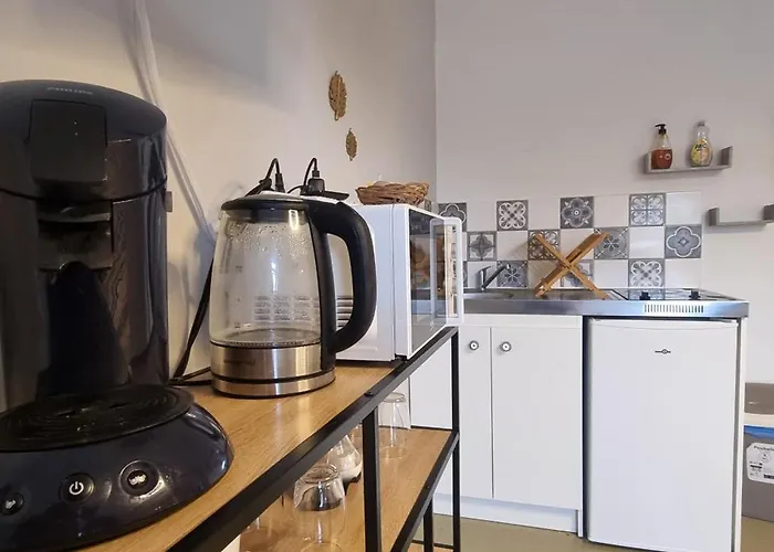 T1 rénové 29 m2 cosy confort ! Appartement