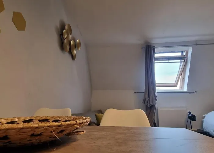 T1 rénové 29 m2 cosy confort ! Anzin