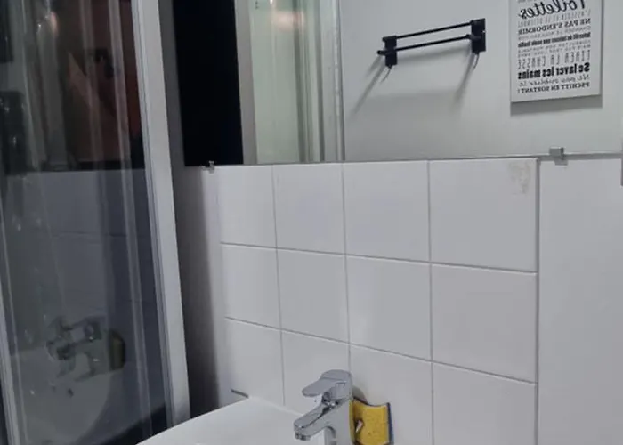 T1 rénové 29 m2 cosy confort ! Anzin