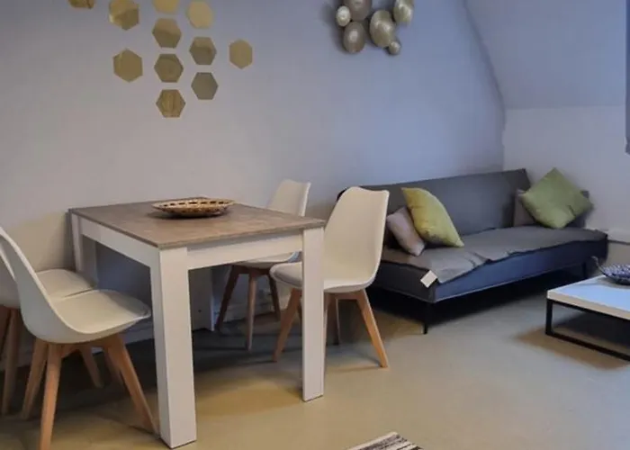 T1 rénové 29 m2 cosy confort ! *