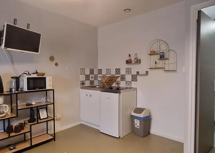 T1 rénové 29 m2 cosy confort !