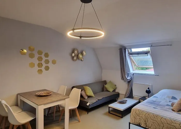 T1 rénové 29 m2 cosy confort ! Appartement