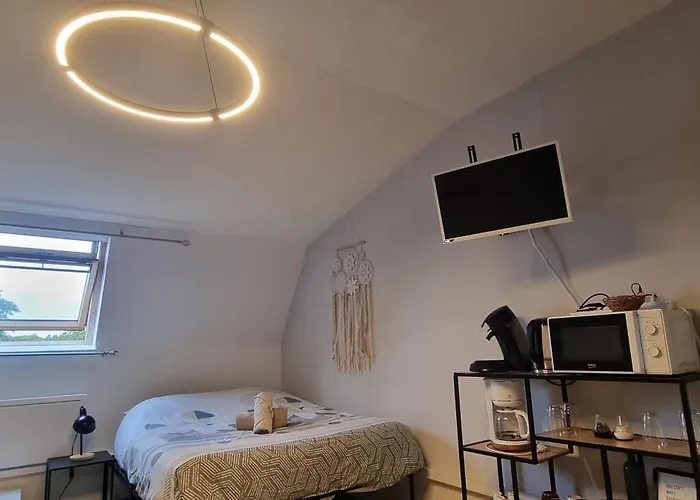 T1 rénové 29 m2 cosy confort ! Appartement