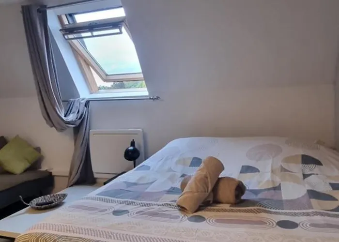 T1 rénové 29 m2 cosy confort ! * Anzin