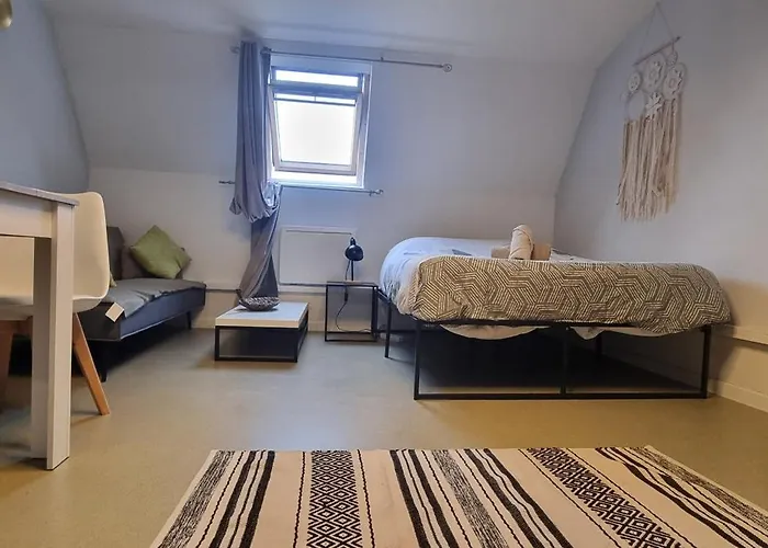 Appartement T1 rénové 29 m2 cosy confort !