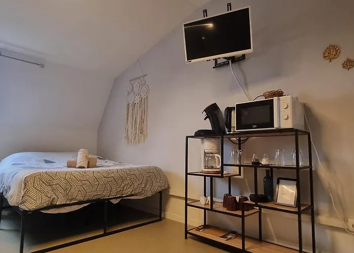 T1 rénové 29 m2 cosy confort ! Appartement *