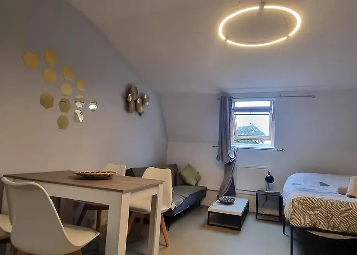 T1 rénové 29 m2 cosy confort ! *
