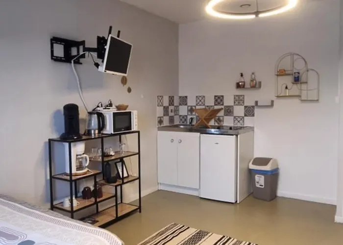 Lejlighed Lola Parking Renove 2 Lits Proche Cite Congres Cocon Cosy 29m2 Anzin