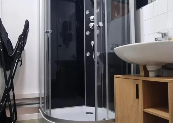 T1 rénové 29 m2 cosy confort ! * Anzin